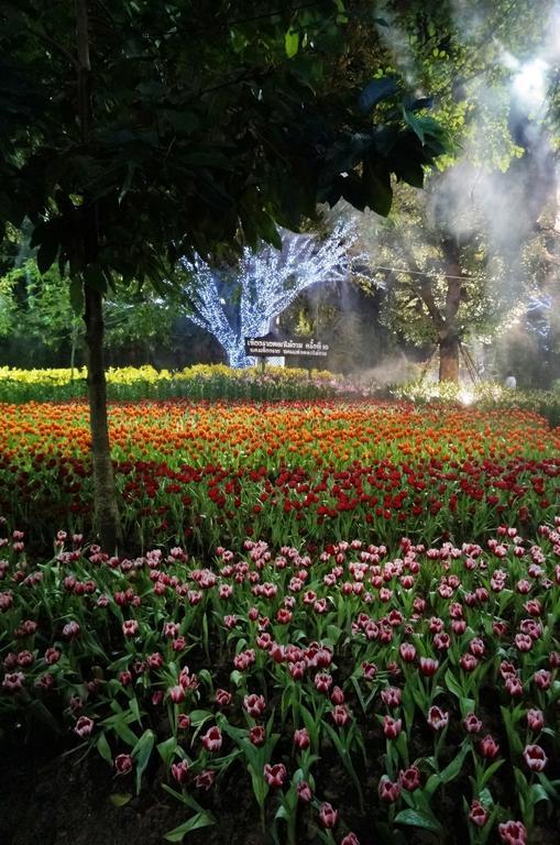 Sabai Chiang Rai Hotel Exterior photo